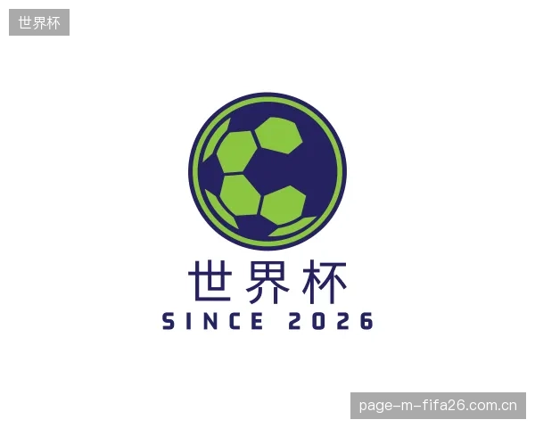 介绍世界杯平台